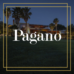 Разработка и продвижение сайта Pagano